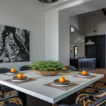 Nationally Recognized Showhouse Iconic Interior Design