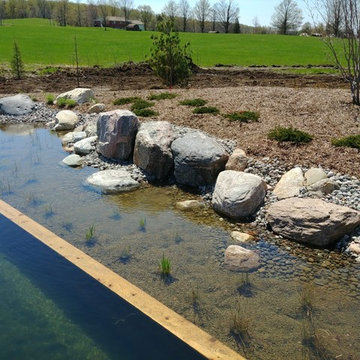 Pond in the Fields