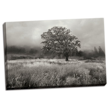 Fine Art Photograph, Field of Gold B&W, Hand-Stretched Canvas