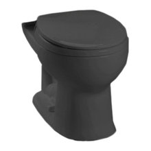black toilet