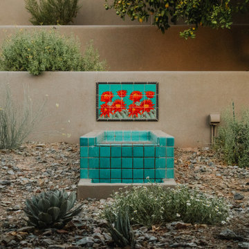 Desert Vista