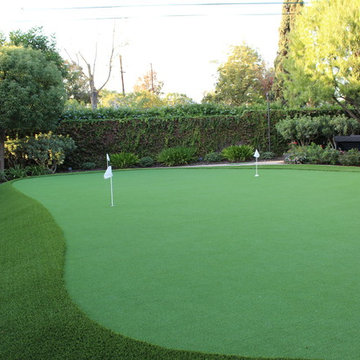 Transformed Lawn Area