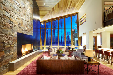 Living room - contemporary living room idea in New York