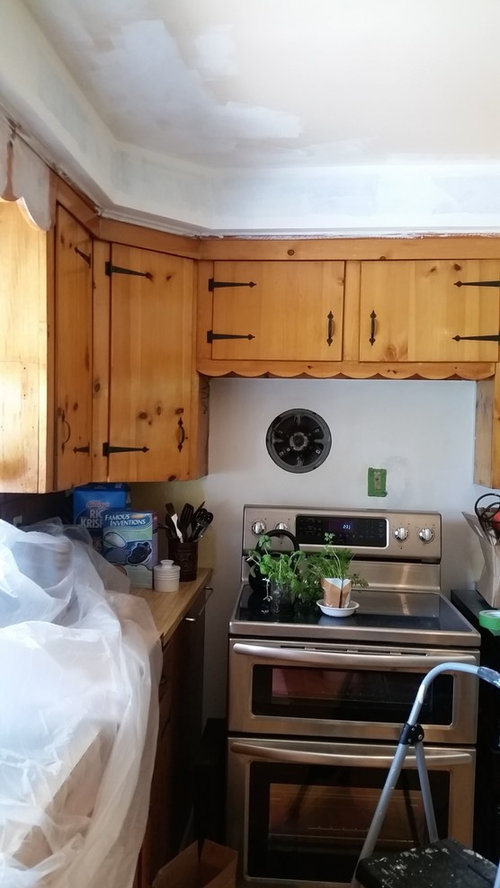 1950s Kitchen Update Cabinet Color Crisis