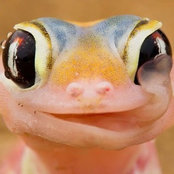 Melody Hansen's photo