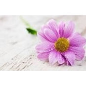 Missy Sands's photo