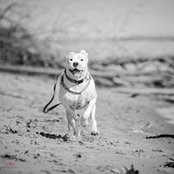 Debra Martin's photo