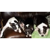 Kathleen Hall's photo