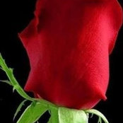 Vicki Osbourn's photo