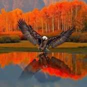 Larry Wyatt's photo