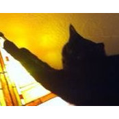 Foto de Princess Mabel
