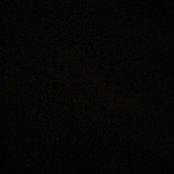 Amy P's photo
