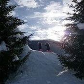 Spiro Eliopoulos's photo