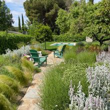 Leech Field/Natural Plantings