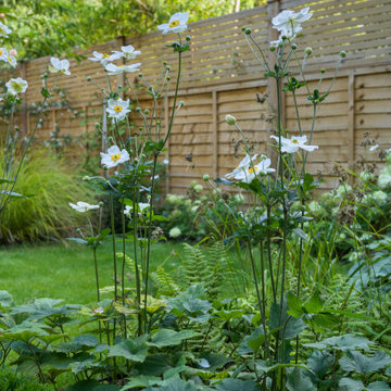 Tufnell Park Family Garden