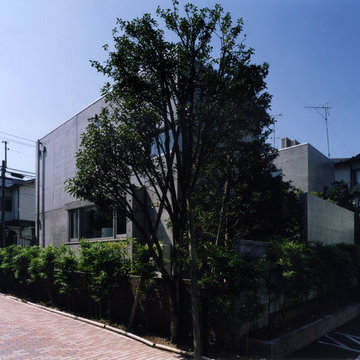 NIS