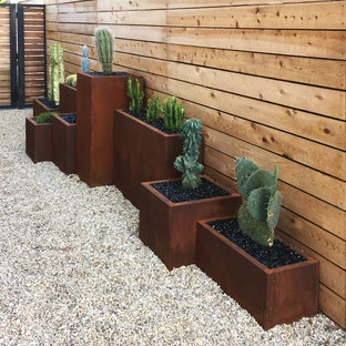 Inspiration for a mid-sized and desert look side yard partial sun xeriscape for winter in Los Angeles with gravel.