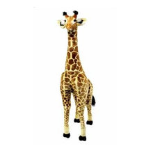 Wish List