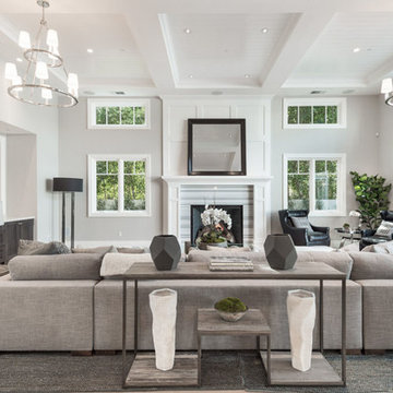 Transitional Living Room