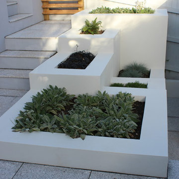 Tiered Modern Garden in Midsomer Norton