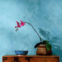 Paint Ideas