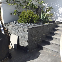 Backyard Project