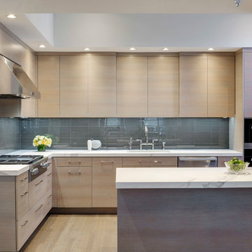 Boston, MA Contemporary White Oak Kitchen