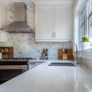 Eleventh Street- Transitional white kitchen