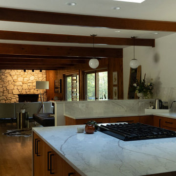 Rockford Kitchen & Living Space Remodel