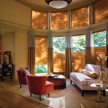 Hunter Douglas European Style Window Treatments and Draperies