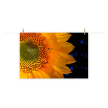 Art/Quiltspiration