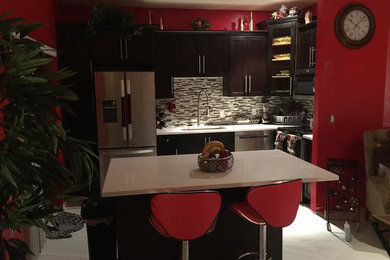 Modern/Contemporary Kitchen Renovation