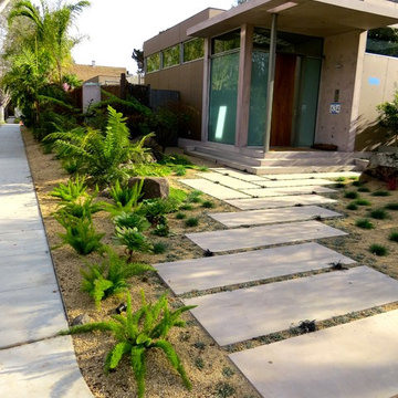 Palo Alto modern landscape