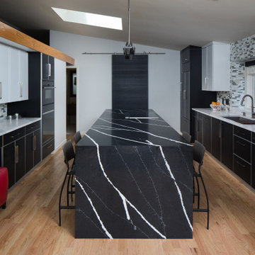 Bold Black and White Modern Kitchen
