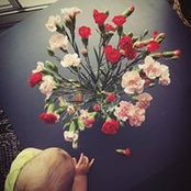 Chacha Bobby's photo