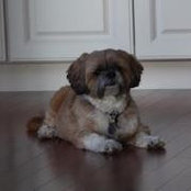 Photo de Cheryl Scholtes-Bauer