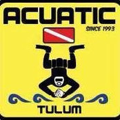 Acuatic Dives billede
