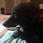 Dani Grosh's photo