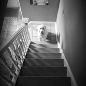 Debbie Scott's photo