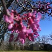 Foto de Terri Ressler-Padgett