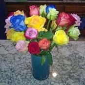 Jennifer Pierce-Johnson's photo