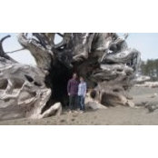 Larry Detris's photo