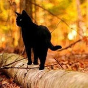 Amanda Anderson's photo