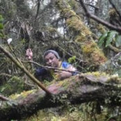 Foto von Decs Romero