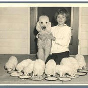 Penelope Boehm's photo