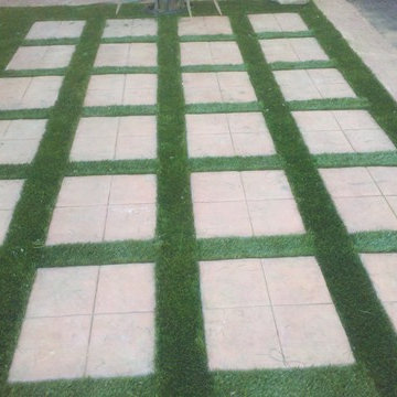 Turf