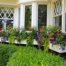 Patio Ideas
