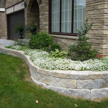 Front Flower Bed