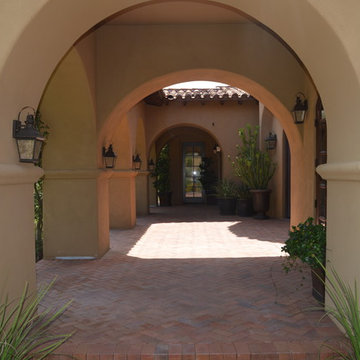 Silverleaf 1