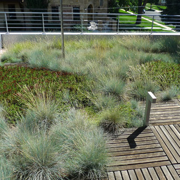 Waterwise Contemporary